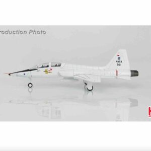 Modely letadel T-38 Talon Northrop Diecast models aircraft Hobby Master HA5405 - Northrop T-38 Talon NASA 901 Ellington Field, Texas, 1960s