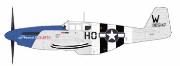 Hobby Master - P-51C Mustang , '43-25147' "Princess Elizabeth" USAAF , United Kingdom , 1944 - Image 2